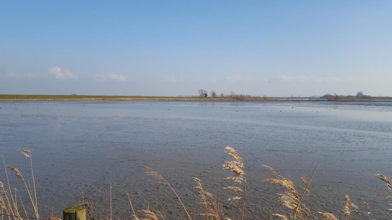 Bed and Breakfast Benb Zuidoord Zuidland Esterno foto